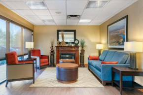 Гостиница Comfort Inn Downtown Chattanooga  Чаттануга